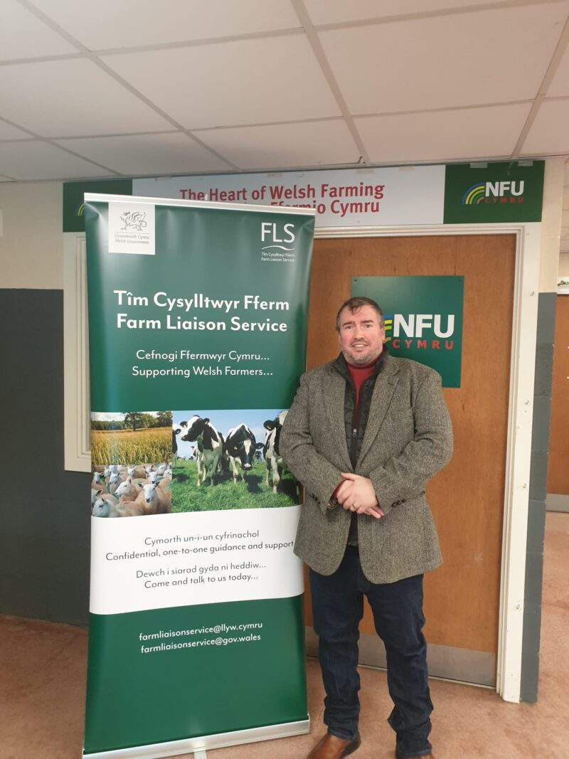 Steve Witherden at Welshpool Livestock Market